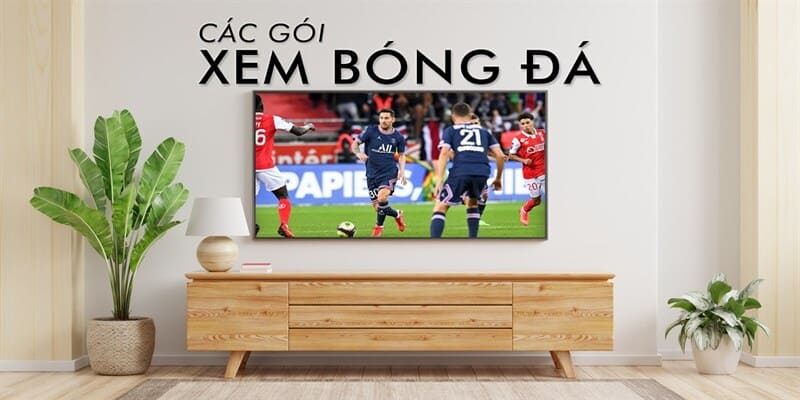 Câu hỏi thường gặp về chính sách tại kênh