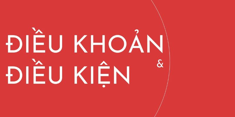 Quy định về thông tin điều khoản và điều kiện 